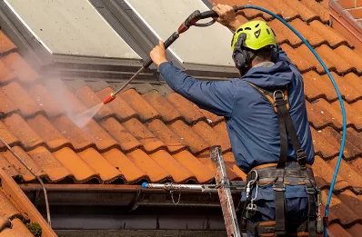 Démoussage et hydrofuge de toiture à Angles-sur-l'Anglin